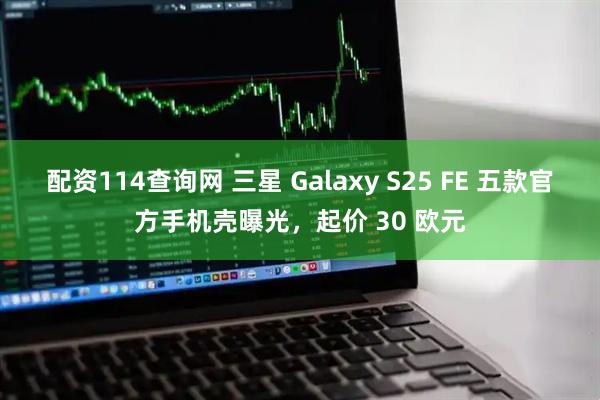 配资114查询网 三星 Galaxy S25 FE 五款官方手机壳曝光，起价 30 欧元